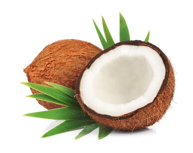 Coconut